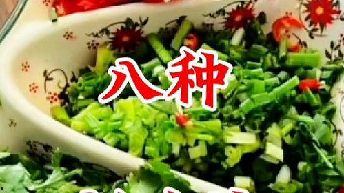 今天爆料美食视频大全集,揭秘热门美食视频大全集