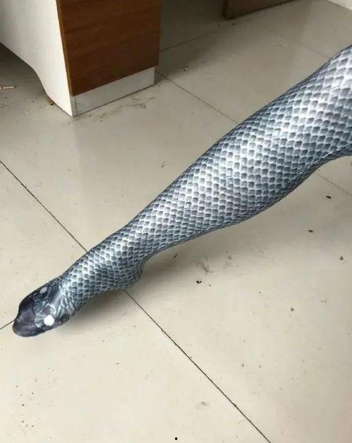 夜间福利丝袜,探索夜间福利丝袜的魅力