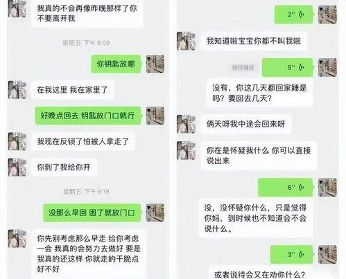 张某琼事件爆料细节视频,揭秘背后惊人细节与真相