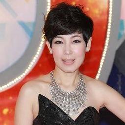 明星澳门的有哪些,澳门明星风采大盘点