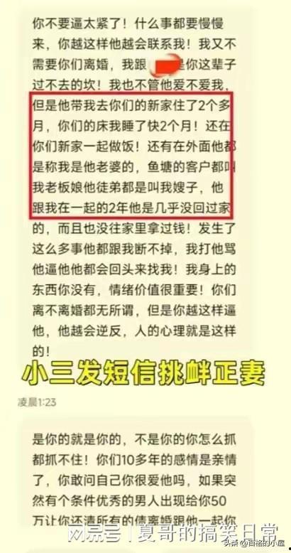 淡定吃瓜小说免费阅读,揭秘小说世界中的轻松阅读之旅