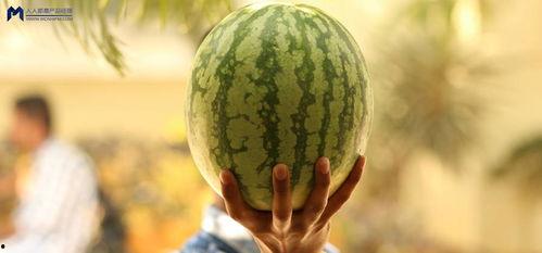 吃娱乐圈大瓜,揭秘明星背后的惊人真相