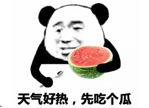 回复吃瓜表情包图片